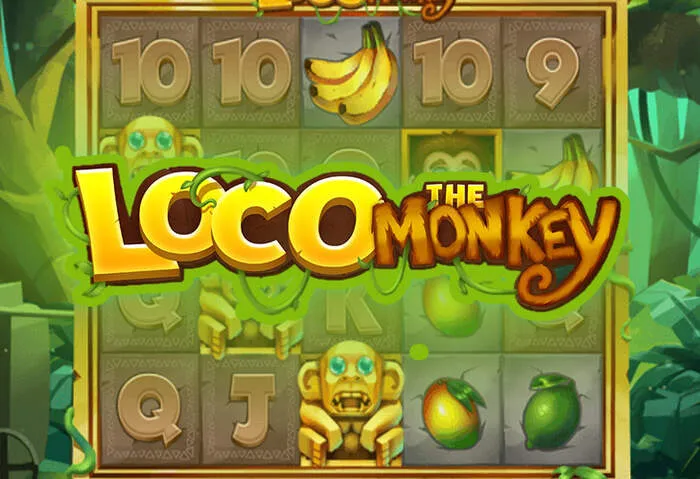Spindragons Casino Bonus and Promotions slot jackpot.
