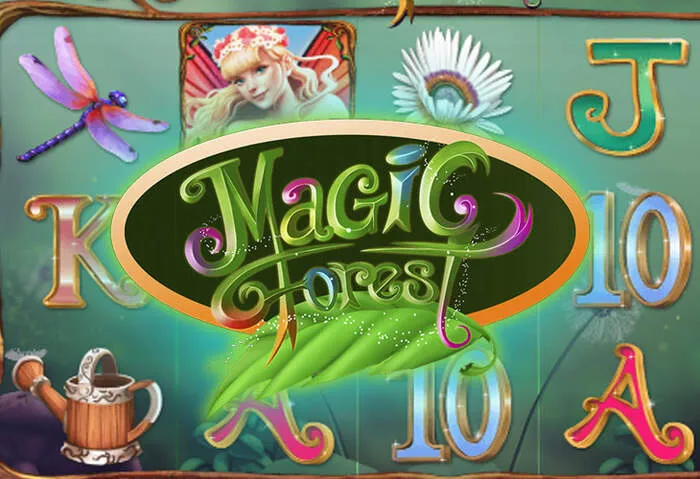 Spindragons Casino Zahlungsmethoden Übersicht: Sicher und schnell einzahlen.