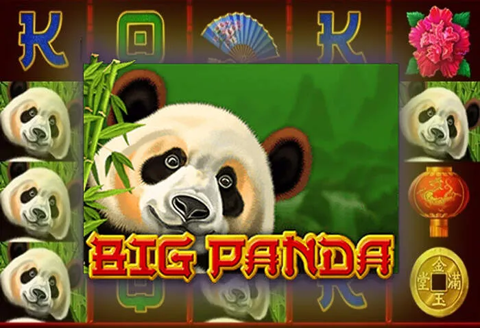 Attiva Come Richiedere l'Offerta di Iscrizione Spindragons Casino.