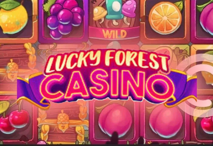 Sichere Lizenz Spindragons Casino Bonus und Promotionen Plattform.